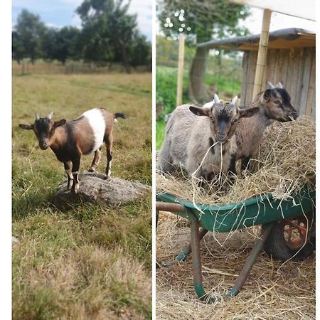 Willa Le Domaine De La Petite Chevre Ploumagoar Zewnętrze zdjęcie